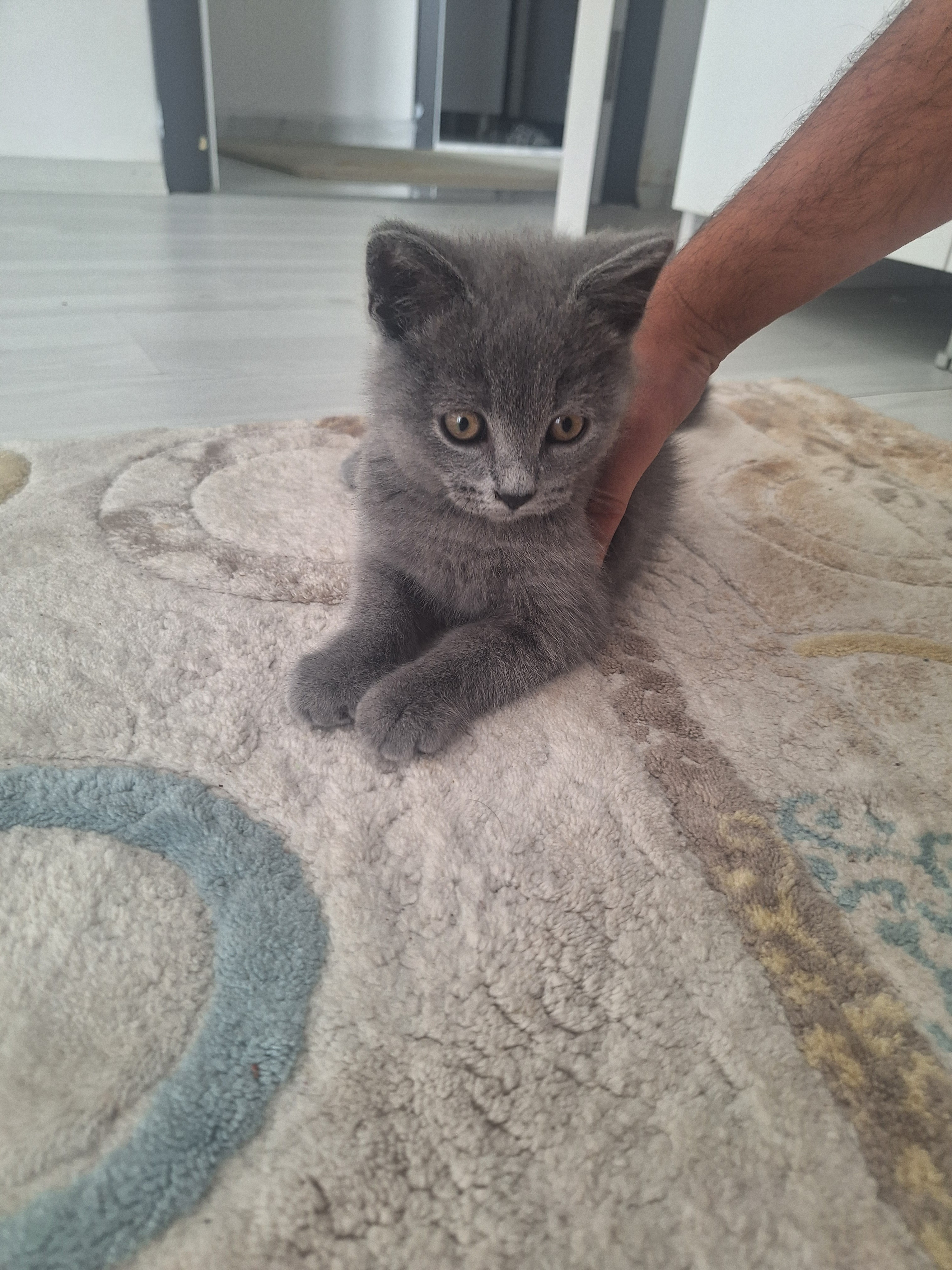 Eşyaları ile sahiplendirilecektir