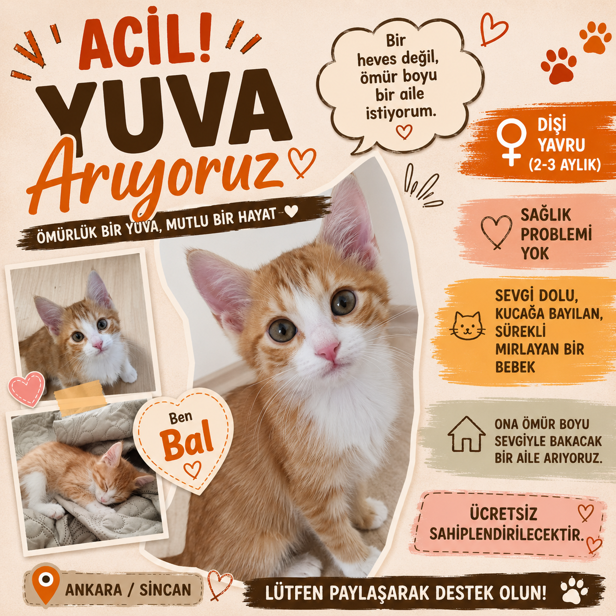 ACİL GEÇİCİ YA DA KALICI YUVA!!!