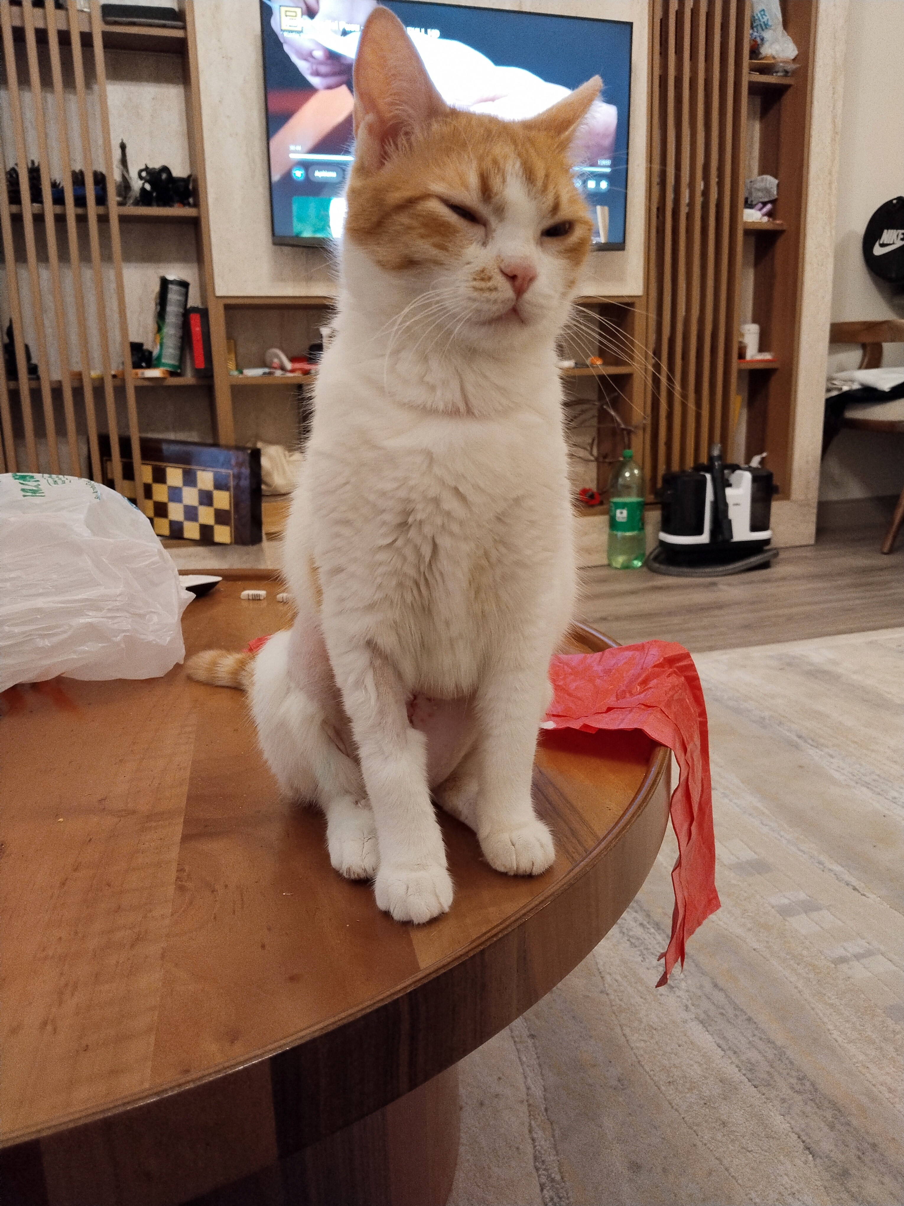Sevgi dolu oyuncu
