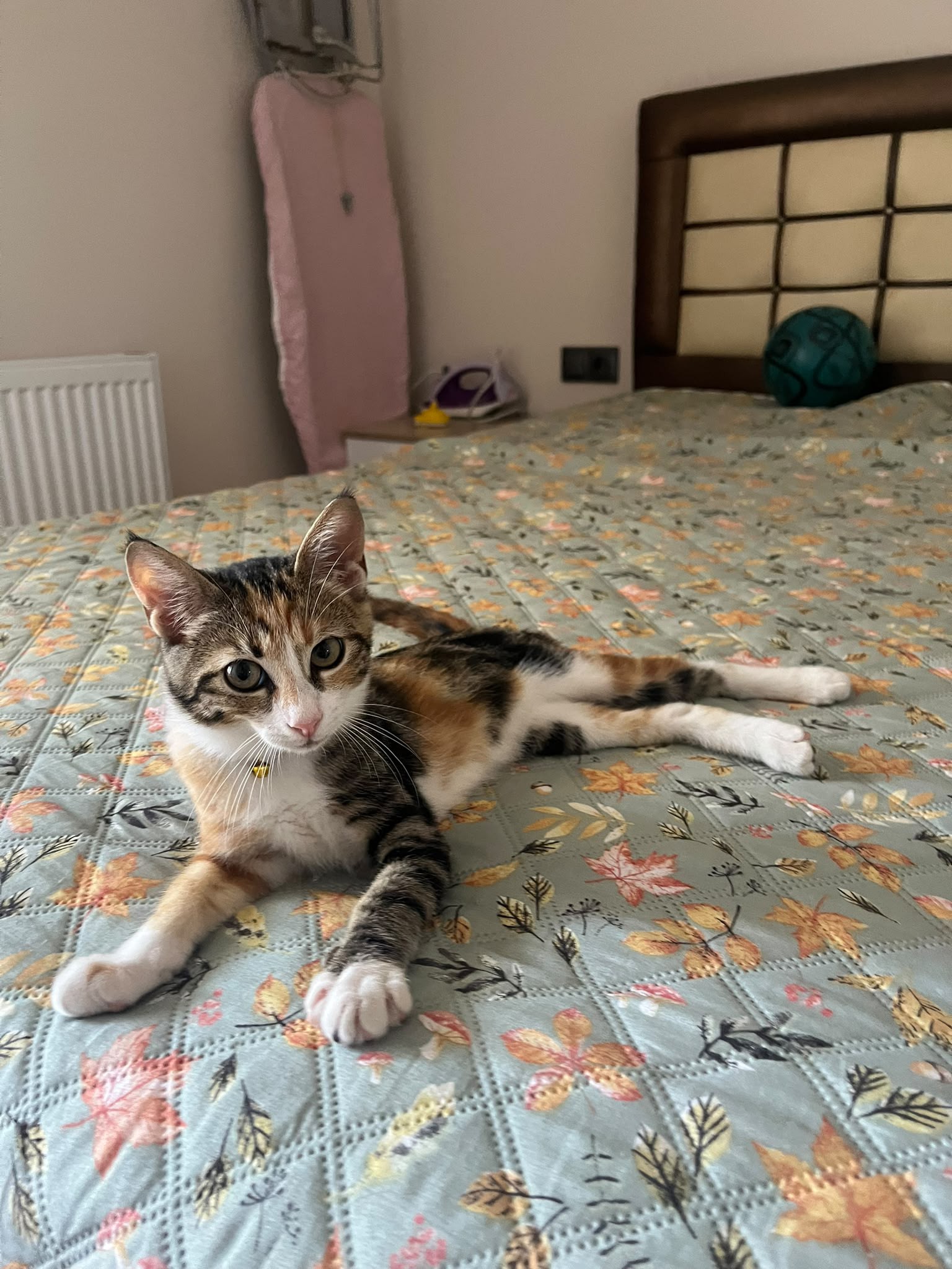 4 aylık dünyalar tatlısı Maya